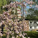Hotel Emma 2*